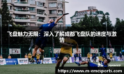 飞盘魅力无限：深入了解成都飞盘队的速度与激情